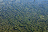 IMGP3726.JPG (887721 bytes)